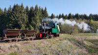 20190501_095348